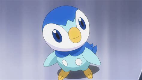 piplup moveset|piplup bulbapedia.